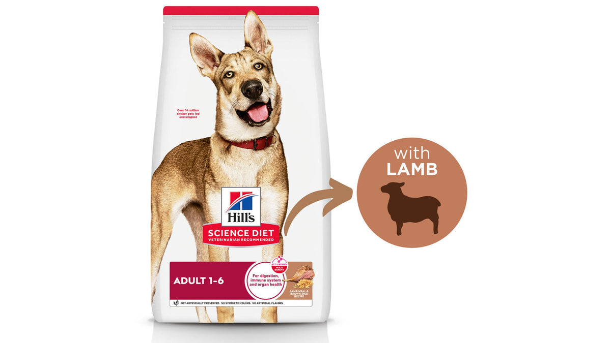Hill's Science Diet Adult Lamb Meal & Brown Rice Dry Dog Food