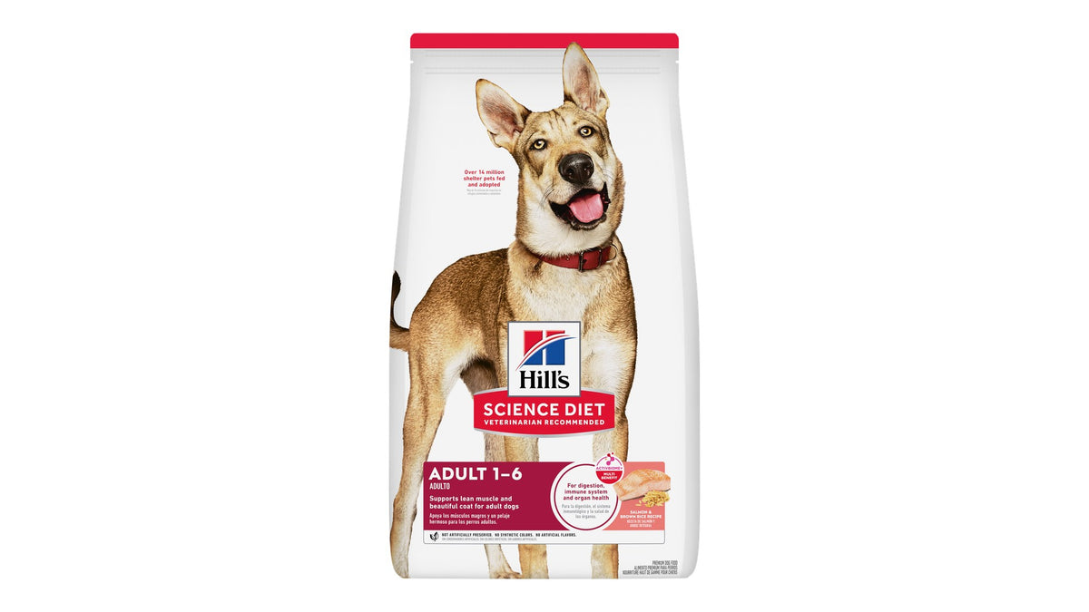 Hill's Science Diet Adult Salmon & Brown Rice Dry Dog Food