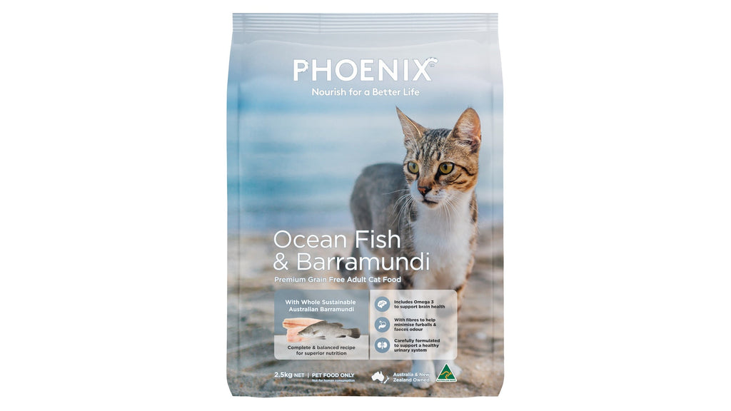 Phoenix Adult Ocean Fish & Barramundi Dry Cat Food