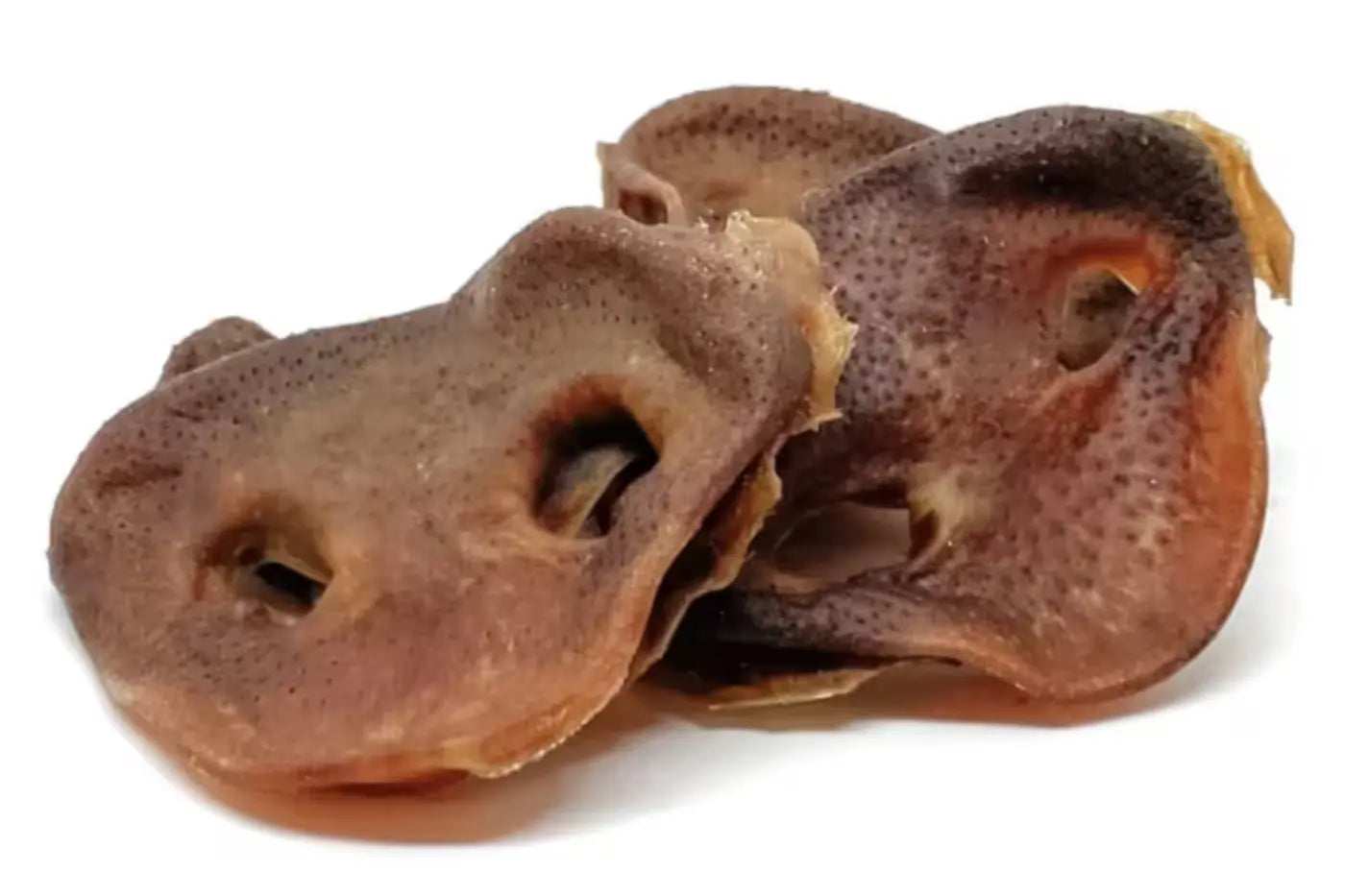 Pigs Snout Dog Treats Dog Treats