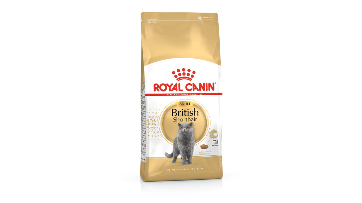 Royal Canin British Shorthair Adult Dry Cat Food