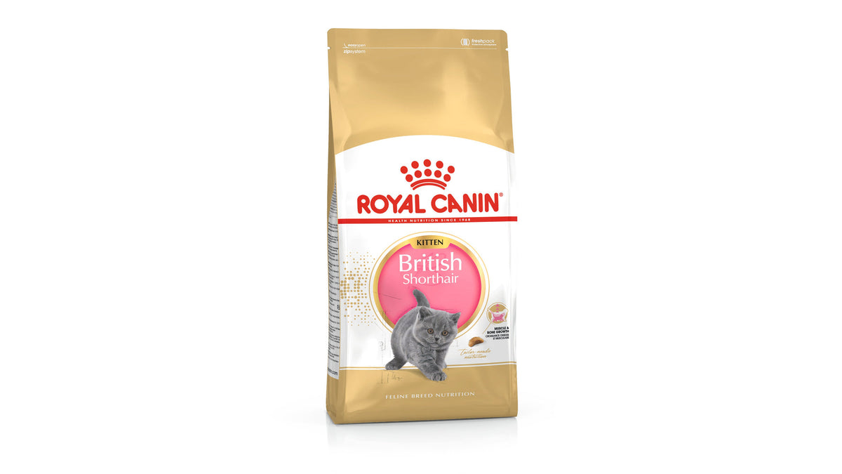 Royal Canin British Shorthair Kitten Dry Cat Food