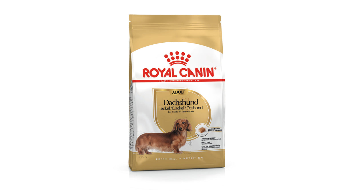 Royal Canin Dachshund Adult Dry Dog Food