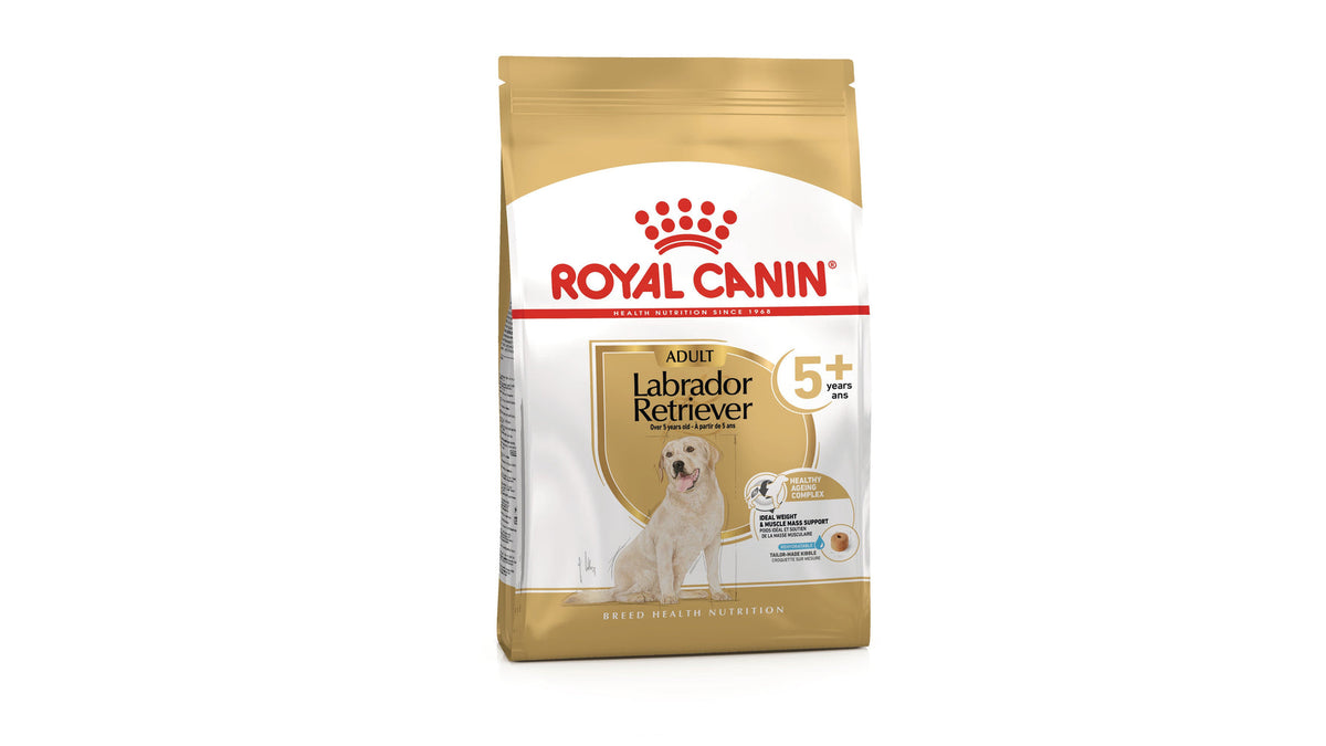 Royal Canin Labrador Retriever 5+ Dry Dog Food