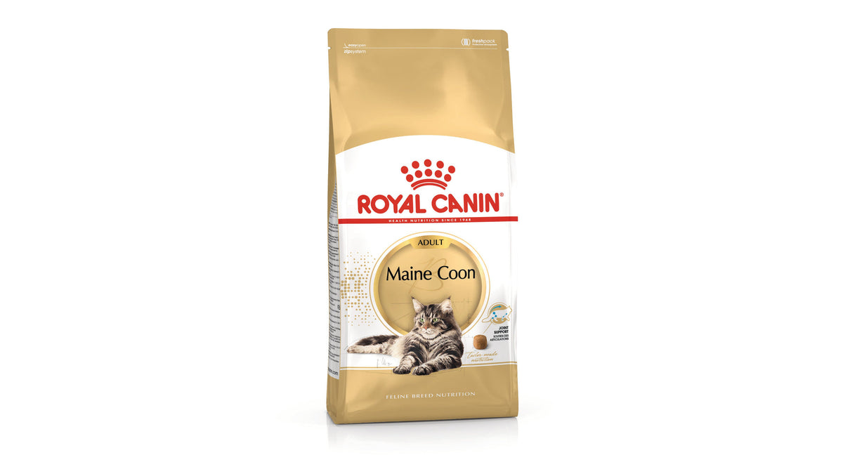 Royal Canin Maine Coon Adult Dry Cat Food
