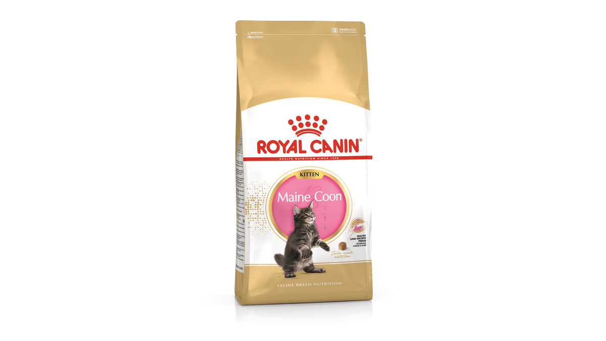 Royal Canin Maine Coon Kitten Dry Cat Food