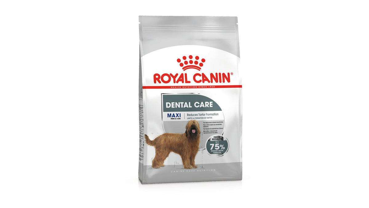 Royal Canin Maxi Dental Care Dry Dog Food