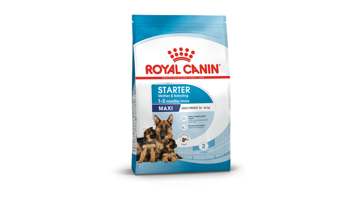 Royal Canin Maxi Starter Mother & Babydog Dry Dog Food