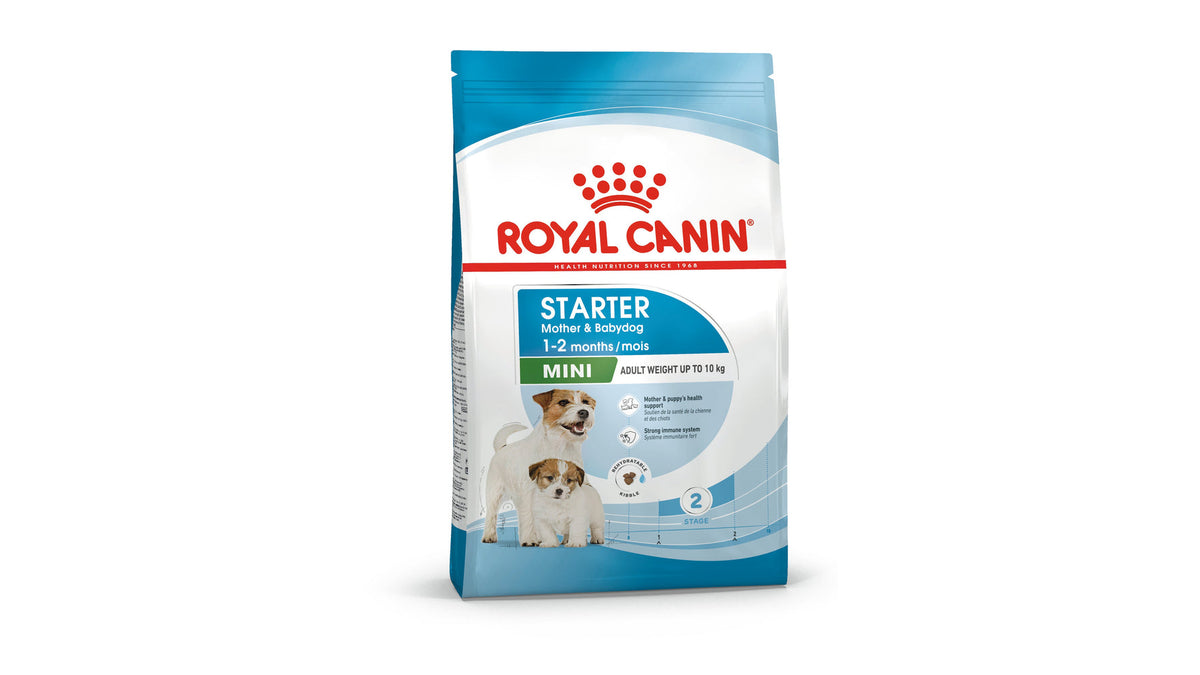 Royal Canin Mini Starter Mother & Babydog Dry Dog Food