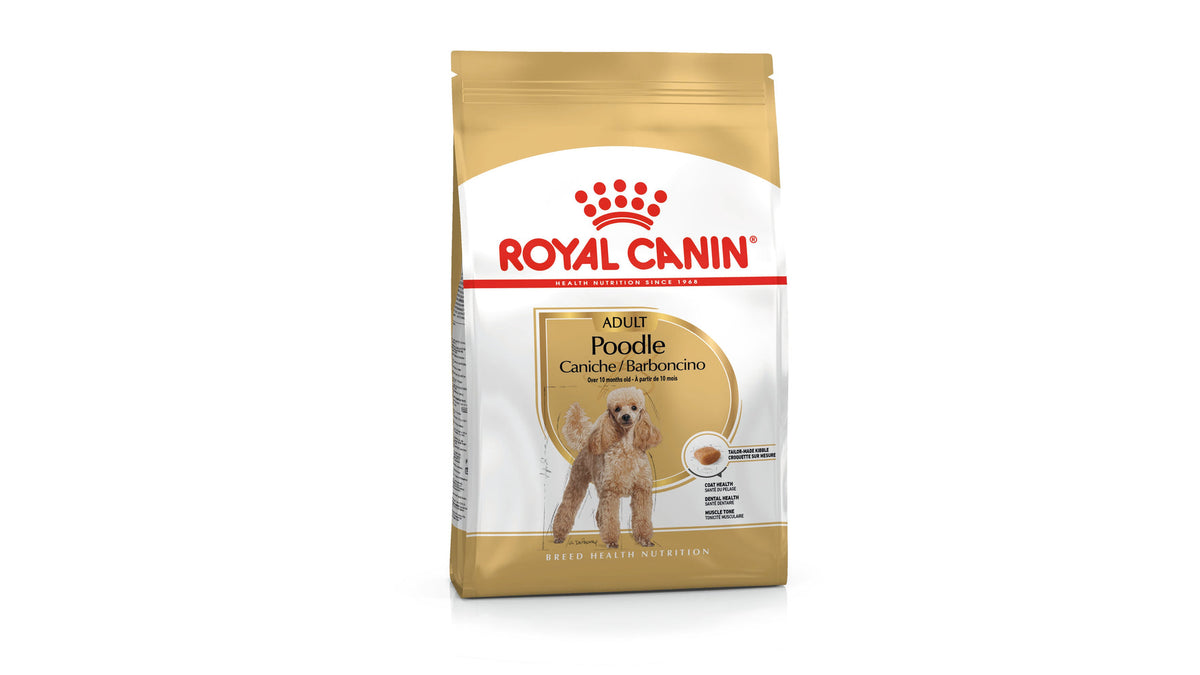 Royal Canin Poodle Adult Dry Dog Food