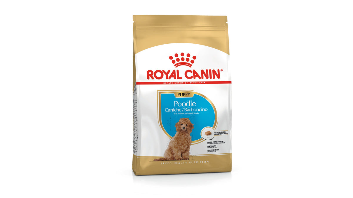 Royal Canin Poodle Puppy Dry Dog Food