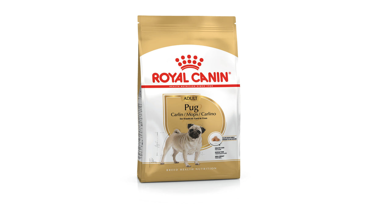 Royal Canin Pug Adult Dry Dog Food